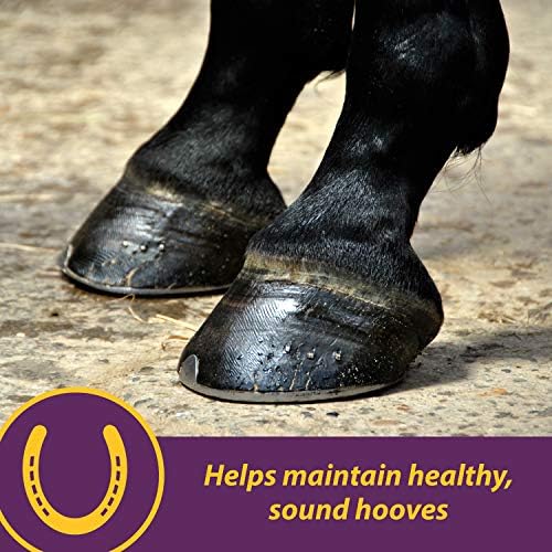 Добавка за копита на коне Horse Health Vita Biotin Раздадена, помага за поддържане на здрави, яки копита и на стената на копита,