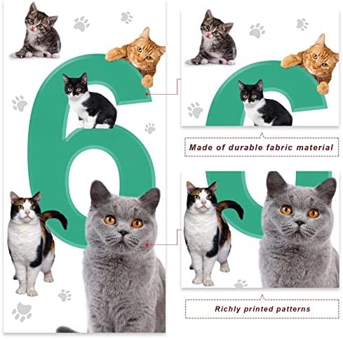 Банер Happy Cat 6 Birthday Background със Собствени Животни, Тематичен Интериор за котки, Украса за Входната Врата, на Верандата,