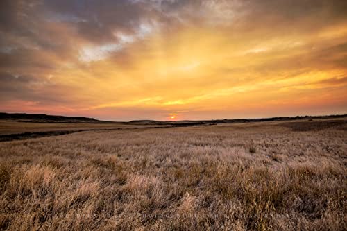 Западна фотография, Принт (без рамка), Изображение на Златната слънчева светлина над Прерией на изгрев слънце на Есента сутринта на Велики равнини на Монтана, Стенн