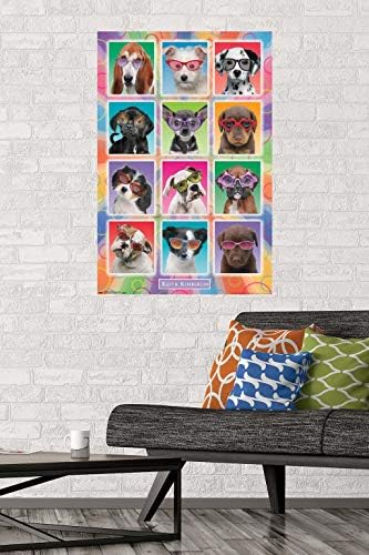 Trends International Кийт Кимберлин - Кученца - Плакат в Слънчеви очила на стената, 22,375 x 34, Версия без рамка