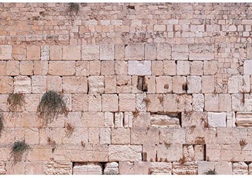 CSFOTO 10x8ft на Фона на Западната стена на Ерусалим Снимка Фон, Фон на Древния Ерусалим Тухлени Фонове, за Снимки на Фона Стените