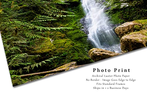 Снимка на водопад, Принт (без рамка), Снимка на водопада Merriman в тропическа гора Куино, Вашингтон, Тихоокеанския регион, Северо-Запад, Стенно изкуство, Естествен деко?