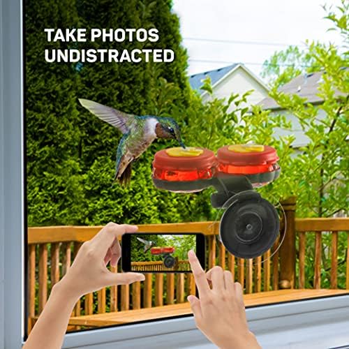 Преносими хранилки за колибри (опаковка от 2) Малка стъклена фидер колибри с прозорец на присоске - Поставка за мини-хранилки, Преносими или Настолни Хранилки за кол